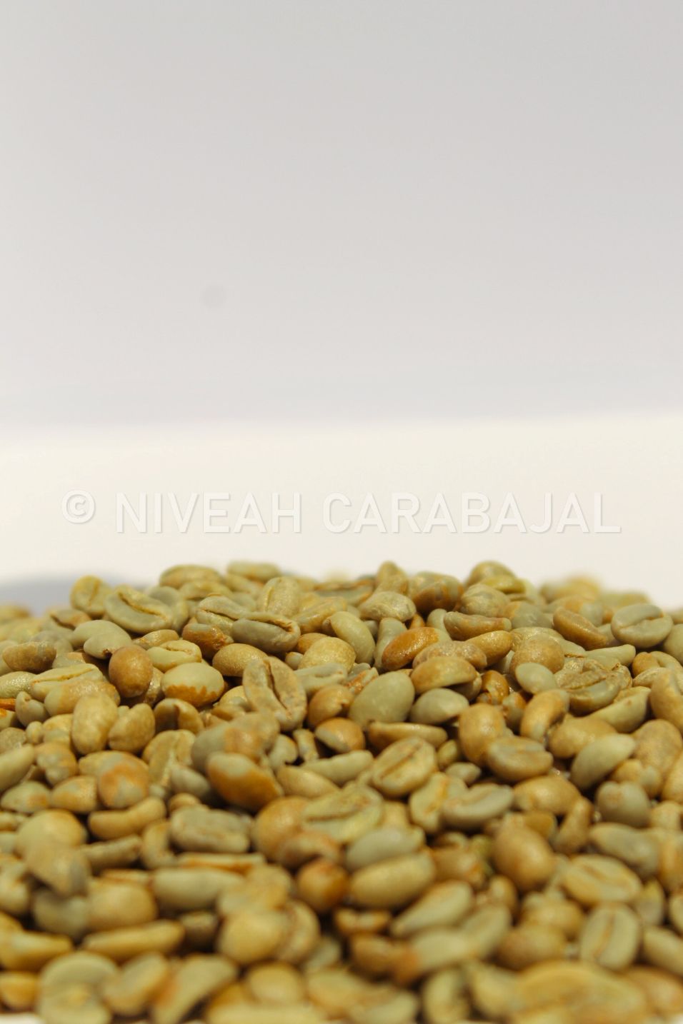 Guji